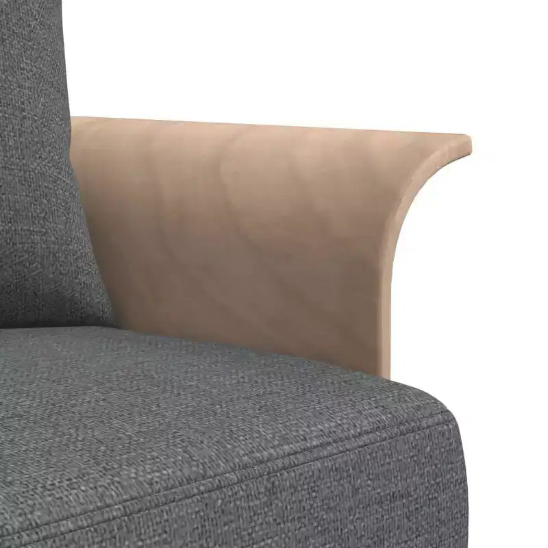 vidaXL Divano Letto a Scomparsa per Soggiorno in Tessuto